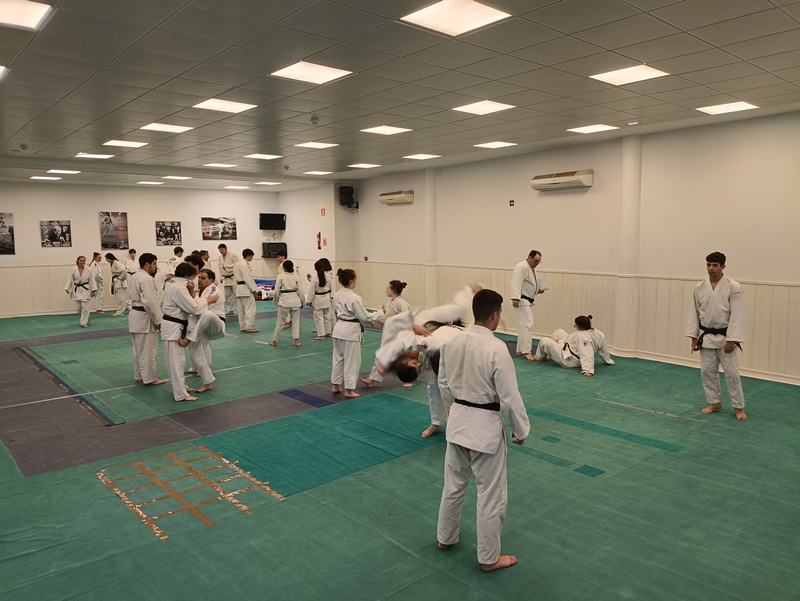 Numerosa participación en el último curso de preparación para examen de paso de grado de Judo de la temporada. Tudela 17-05-25